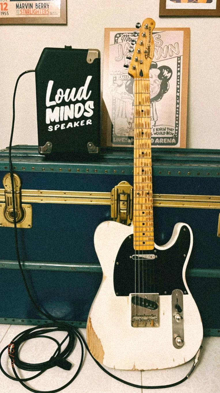 Hand painted guitar amplifier customized by Nesia